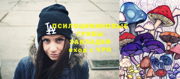 мдпв Арсеньев