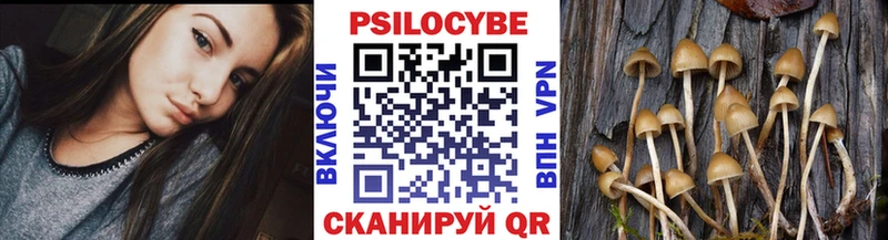 Галлюциногенные грибы Psilocybe  hydra рабочий сайт  Олёкминск 